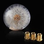 AUTENS Dandelion Flowers Manual Gear Shift Knob Ball, Universal Crystal Acrylic Shift knobs, Shifter Lever Head Fit Manual Automatic Vehicles with 3 Pure Copper Adapters. (Dandelion)