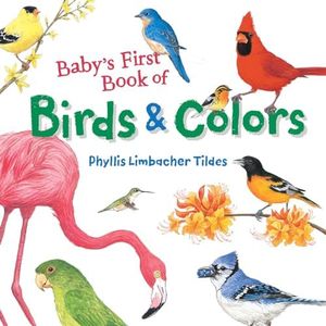 Baby's First Book Of Birds & Colors: 1