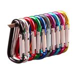 yeijucw 10PCS Carabiner Clip Aluminum D-Ring Keyring Clip Small Snap Hook Carabiner Clips for Keys, Backpack, Dog Leash, Fishing, Camping