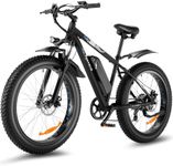 Speedrid Electric Bike 48V 500W Fat