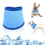 Dog Cooling Bandana, Instant Cooling Bandana for Dogs, Pet Cooling Neck Scarf Cat Ice Collar for Summer (M)