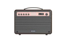 AIWA Bluetooth Speaker | Portable Speaker with Powerful Bass, Long Battery Life, and Built-in Microphone | MI-X440 Enigma Beta (Rose Gold)