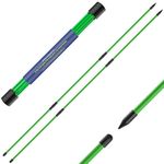 Seticek Golf Alignment Sticks 2 Pack,Upgraded 48" Collapsible Alignment Stick Golf Training Aid for Aiming, Putting, Full Swing Trainer, Golf Training Sticks with Clear Tube Case（Green）