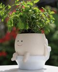 GaloTrek Smily Face Planter Pot Toilet Succulent Pots Cute Resin Flower Head Planters for Indoor Outdoor Plants Unique Bathroom Planter with Drainage Hole (Small)