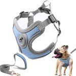 SAEGYPET Dog Harness with Leash Set, No Pull Adjustable Step in Dog Collars Harness with Breathable Padded Puppy Harness for Small Medium Large Dogs Training and Running (Blue, S)