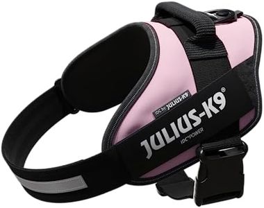 Julius-K9,