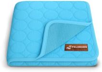 Pelsbarn Dog Cooling Mat- Ice Silk 