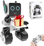 Robot Toy 