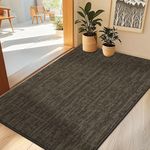 COSY HOMEER Nonslip Door Mat for Indoor, Absorbent Dirt Trapper Front Entryway Door Mat, 100% Polyester Welcome Entrance Mat Rug Modern Style, 60 x 90 cm, Brown