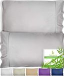 BAMPURE Cooling Pillow Cases Queen Size Set of 2-100% Viscose derived from Bamboo Cooling Pillow Cases for Hot Sleepers - Envelope Closure - Super Soft Queen Pillow Cases Set of 2 (20x30, L.Gray)