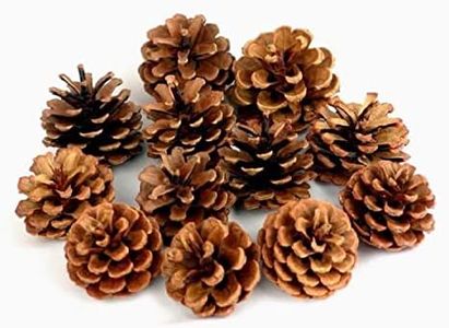 QHZHANG Natural Bulk Christmas Pine Cones for Home Party Decorations,Christmas Tree Fall Ornaments-30Pack
