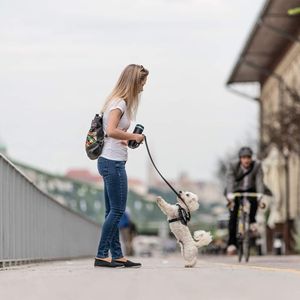 IDC Powerharness XL Dog Harness – Black