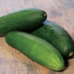 Park Seeds Whopper II Hybrid Cucumber, Hardy and Dark, Pack of 20 Seeds