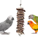 CONGO - NATURAL PARROT TREAT Wooden Deworming Assorted Wooden Chew Toys For Conure, African Grey, Amazon Parrot, Macaw, Cockatoos And Other Birds