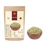 Fennel Seeds (100g/3.52oz) | Saunf (Soonf) | Gluten Free |100% Raw Fennel Seed from India | Authentic | Vegan | Non GMO | No Additives