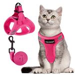 FAYOGOO Pink Solid Cat Harness and Leash Set, Large, Escape Proof, Adjustable, Lightweight Soft Vest Harness and Leash for Walking, Trekking with Cats or Small Dogs