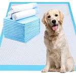 40 Extra Large Bed Pads for Incontinence, Disposable Underpads Leak-Proof Breathable Hospital Bed Pads High Absorbency Chair Protector Pad for Adult Children or Pets - 32 x 36 Inch