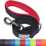 VIVAGLORY Padded Handle Dog Leash, 