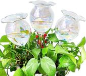 Haawooky Self Watering Globes,Iride