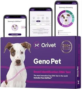 ORIVET GenoPet Dog DNA Test Kit | 365+ Breed Identification | Personalized Life Plan | At-Home Cheek Swab | Results in 3–5 Weeks