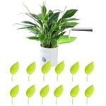 LIGHUFEIC 12PCS Plant Watering Funnel Devices,Leaf Shape Watering Funnel Leaves Plant Pot Irrigation Watering Drip Devices,Indoor and Outdoor Leaflow Plant Watering(Green)