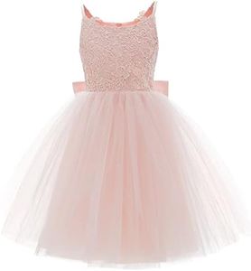 PLwedding Flower Girls Lace Tulle Ball Gowns First Communion Dresses, Z Pink, 2-3 Years