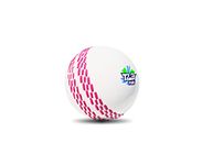 jaspo Synthetic Rubber T-20 Plus Practice Cricket Ball/Wind Balls (125-130 Gms) For - Indoor & Outdoor Street & Beach Cricket (White)