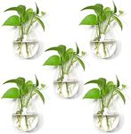 5 Packs Wall Hanging Planters Glass Plant Pots Water Plant Containers Glass Flower Pots Wall Hanging Glass Planters Plant Containers Hanging Planters Air Plant Terrariums Glass Terrarium