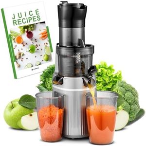 Juicer Machines, Aobosi Slow Masticating Juicer with 8CM Large Feed Chute, Cold Press Juicers for Whole Fruit and Vegetable with Two-layer Filter, Safety Lock, Carbon Grey