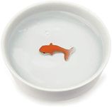 Goldfish D