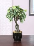 Fourwalls Artificial Japanese Maple Bonsai Plant in a Glossy Ceramic Pot (233 Leafs, 39 cm, Mixed Material, Green)