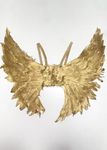 Saltburn Felix Style Gold Feather Angel Wings 55cm Fancy Dress