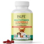 D Supplement For Dogs