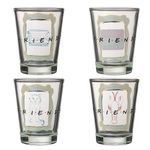 Silver Buffalo Friends Iconic Icons Yellow Frame 4 Pack Mini Glasses, 1.5 Ounces