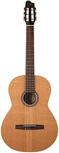 Godin 0496