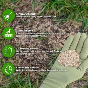 GroundMaster Premium Lawn Grass Seed 1KG – Hard Wearing, Fast Germination, Pet-Friendly, Covers 60m²