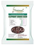 Srinivasa Agro Seeds Elephant Grass Seeds - 10kg