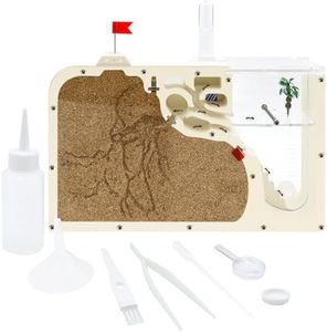 Ant Farm C