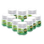 RootRajan Fast Root Powder | Supercharge Root Development & Propagation Success for Plant Cuttings | Ideal for Rapid Rooting, Healthy Growth & Propagating All Plants Effortlessly | Pack Of 10 (100gm)