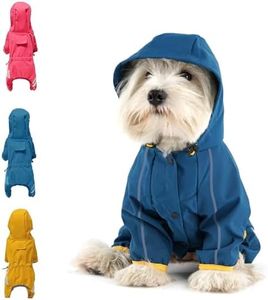 Mabawa Dog