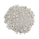 HollandBasics Ultra Premium Pumice 10L Succulent and Cactus Soil Mix