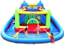 Causeair Inflatable Water Slide wit