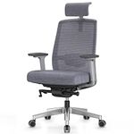 Duwinson Ergonomic Mesh Home Office Chair With Back Support, 4-Way Adjustment Armrest, Executive Desk Chair with Reclining Adjustment, Adjustable Headrest, Padded Lumbar Support, Swivel Slidable Seat