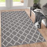 SHACOS Doormat Indoor Outdoor Door Mat Non Slip Waterproof Backing Front Door Rug Mat Washable Dirt Trapper Floor Carpet Mat for Entryway Kitchen Garage (32"x47", Gray)