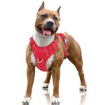 BARKBAY No Pull Dog Harness Large Step in Reflective Dog Harness with Front Clip and Easy Control Handle for Walking Training Running with ID tag Pocket(Red,L)