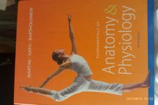 Fundamentals of Anatomy & Physiology
