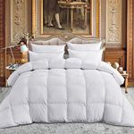 Luxurious Full/Queen Size Goose Down Comforter Duvet Insert, Exquisite Dobby Checkered Design, 1200 Thread Count 100% Egyptian Cotton, 750+ Fill Power, 55 oz Fill Weight, Premium Baffle Box, White