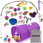 Cat Toys Kitten Toys 34pcs Assorted Cat Tunnel Catnip Fish Feather Teaser Wand Fish Fluffy Mouse Mice Balls and Bells Toys Storage Bag Set Kit Interactive cat Toys cat Feather Toy Mlorine (34PCS)