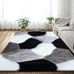 Black And White Rug Living Room