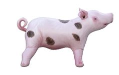 Inflatable Pig, Decorations for Birthday Party Supplies, Cowboy & Cowgirl Farm Theme Gifts, Blow Up Boar Decor, Inflables Para Fiestas Pig Balloon, Fun Decoy Pig Inflatable Party Decoration